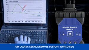 GM Coding Service Remote Support Worldwide