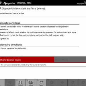 Porsche PIWIS Software (14)