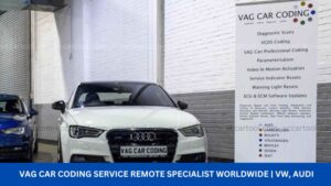 VAG Car Coding Service Remote Specialist Worldwide VW, Audi
