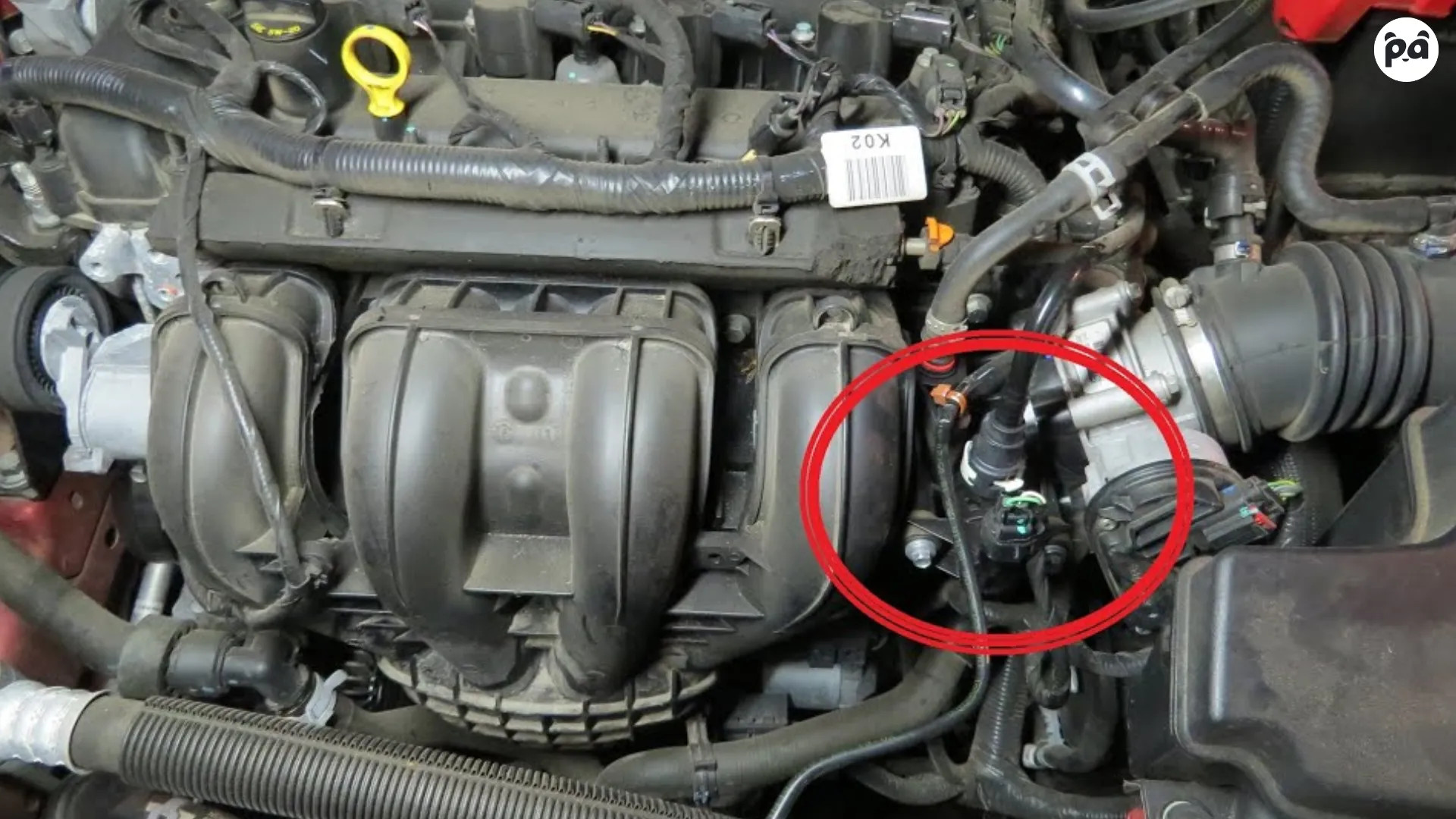 Troubleshooting the P0455 Code | Panda Hub