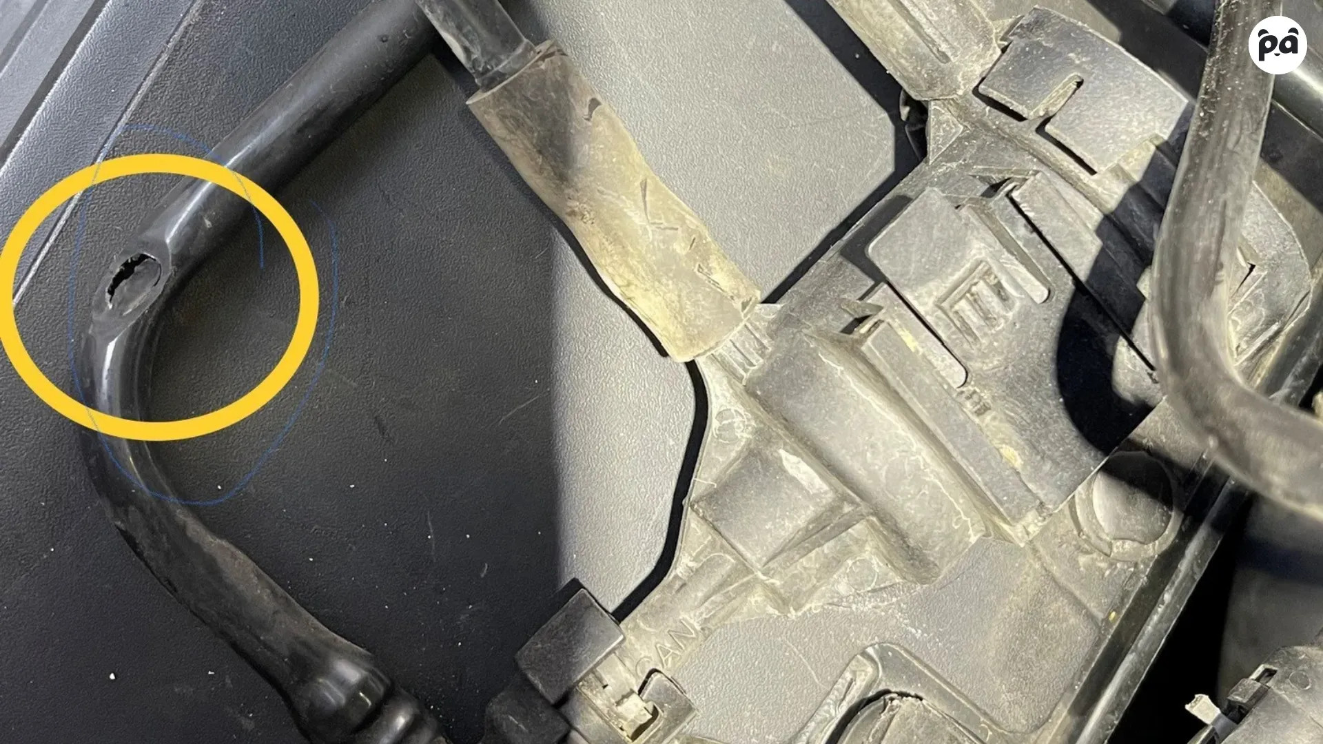 Troubleshooting the P0455 Code | Panda Hub