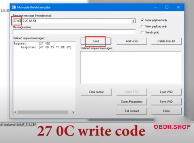 Copy and paste key into Vediamo