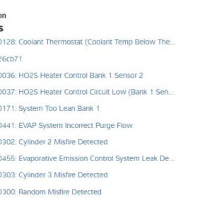 Mitchell Software Online (3)